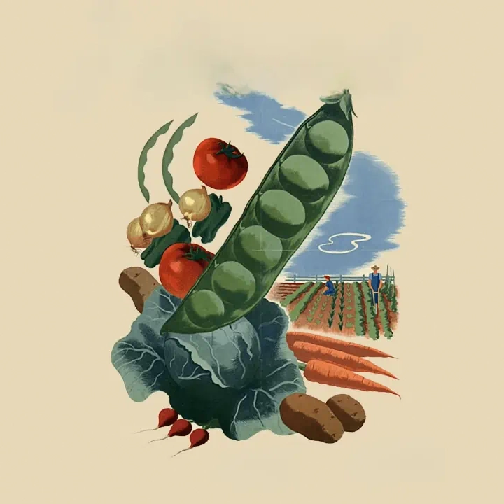 Victory Garden Vegetables